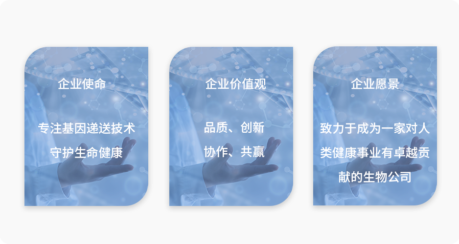 未标题-4.png